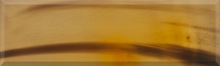 corne-de-buffle-blonde_220x66