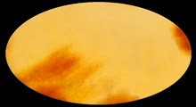 ecaille-1