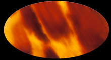 ecaille-3