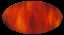 ecaille-4