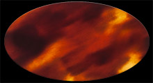 ecaille-5