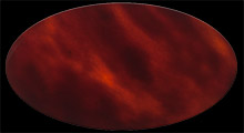 ecaille-6