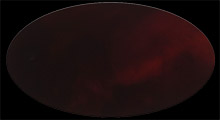 ecaille-8